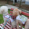 Floral Bow Mesh Dog Harness Dress with Leash