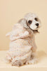 Cozy Knit Dog Sweater
