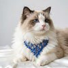 Statement Pet Necklace Gift Box Set