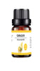 10ML Aromatherapy Water Soluble Essential Oil Plant Diffuse