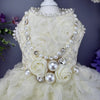 Handmade Luxury Pearl & Rose Lace Pet Dress