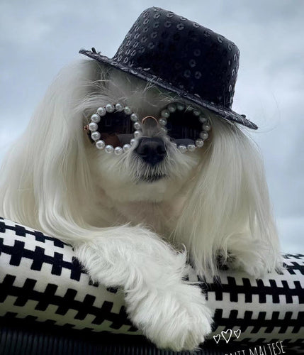 Pearl Round Pet Sunglasses for Dogs and Cats