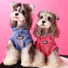 Dog hoodie cool 2