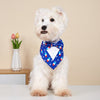 Patriotic Popsicle Dog Tuxedo Bandana Collar – 4th of July Bow Tie Pet Bib Scarf