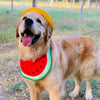Funny Cartoon Dog Bandana Bibs (4 Designs)