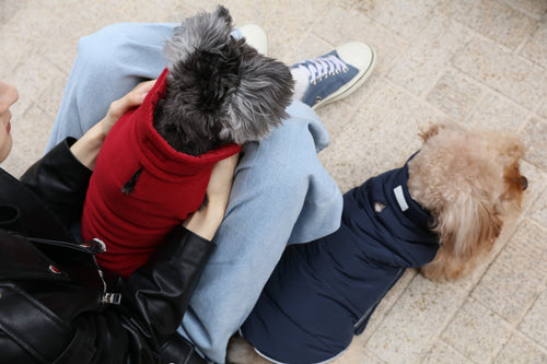 Reversible Dog Vest Jacket - Red