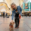 EcoBark Safety Orange Dog Leash- Padded Comfort Grip Leash with Dog Pattern - 4ft, 5ft, and 6ft Leash for Small and Medium Dogs