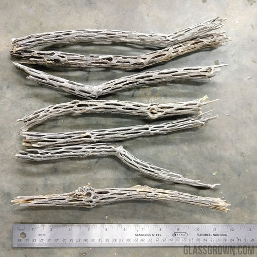 Organic Cholla Wood Logs