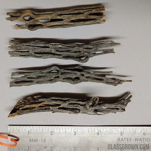 Organic Cholla Wood Logs