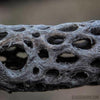 Organic Cholla Wood Logs