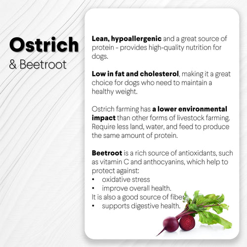 Ostrich Chips with Beetroot (2.5oz): The Flavorful, Immune System Supporting Treat for Dogs