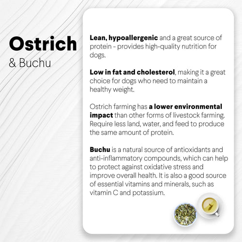 Ostrich Sausages with Buchu (3oz): The Delicious, Digestive-Supporting Treat for Dogs