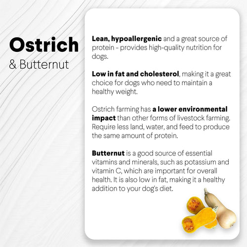 Ostrich Chips with Butternut (2.5oz): The Flavorful, Hypoallergenic Treat for Dogs with Sensitive Stomachs