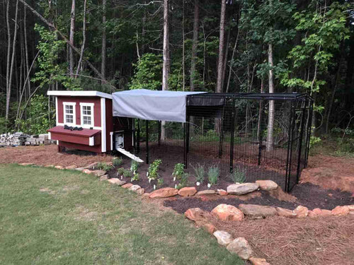 Walk-In 15 ft. Chicken Run (6'6W x 15'L x 6'3H)
