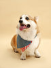 Park Day Denim Gingham Print Handmade Bandana