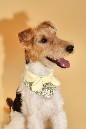 Bowtiful Garden Butter Yellow Floral Bandana