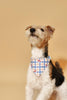 Blue Gingham Cherry Bandana