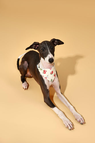 Strawberry Fields Butter Yellow Triangle Bandana