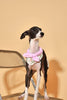 Bowtiful Garden Pink Floral Bandana