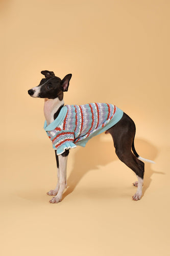 Pet & Me Spring Summer Ocean Blue Ruffle Crochet Short Sleeve Polo Shirt