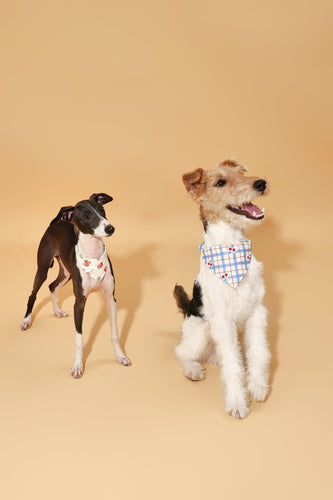 Strawberry Fields Butter Yellow Triangle Bandana