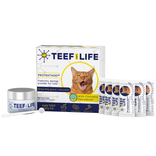 Dental Kits: Protektin30™ - Prebiotic Dental Powder for cats
