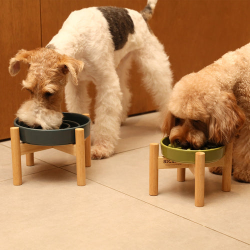 [Wave] Slow Feeder Dog Bowls - Pink / Beige / Orange