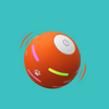 DOG’S INTERACTIVE BALL