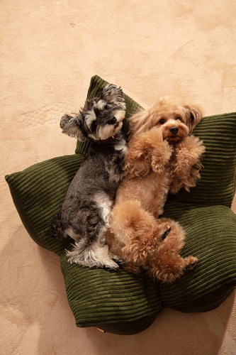 OULU X PEHOM - CUDDLE PET PILLOW BED- Navy Blue / Olive Green / Canyon Brown