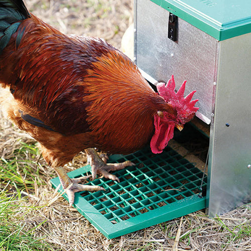 Feedomatic Automatic Treadle Feeder