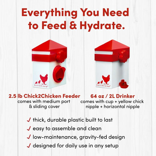 RentACoop 2.5 Pound Chick2Chicken Medium Port Feeder and 64 Ounce (2 Liter) Drinker Set for Chicks, Chickens, Quail, and Other Small Birds
