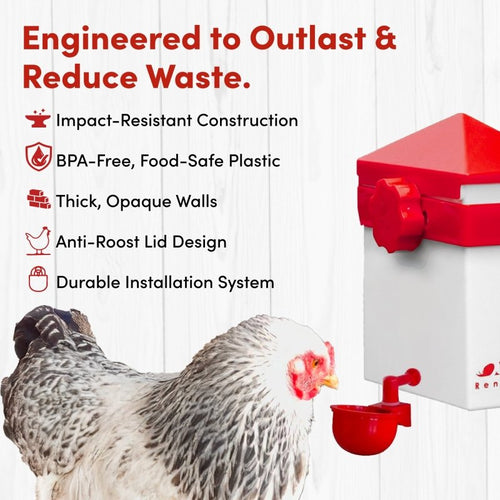 RentACoop 2.5 Pound Chick2Chicken Medium Port Feeder and 64 Ounce (2 Liter) Drinker Set for Chicks, Chickens, Quail, and Other Small Birds