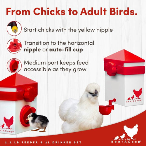 RentACoop 2.5 Pound Chick2Chicken Medium Port Feeder and 64 Ounce (2 Liter) Drinker Set for Chicks, Chickens, Quail, and Other Small Birds