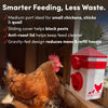 RentACoop 2.5 Pound Chick2Chicken Medium Port Feeder and 64 Ounce (2 Liter) Drinker Set for Chicks, Chickens, Quail, and Other Small Birds