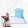 Puppy Pads | Absorbent Pee Pads