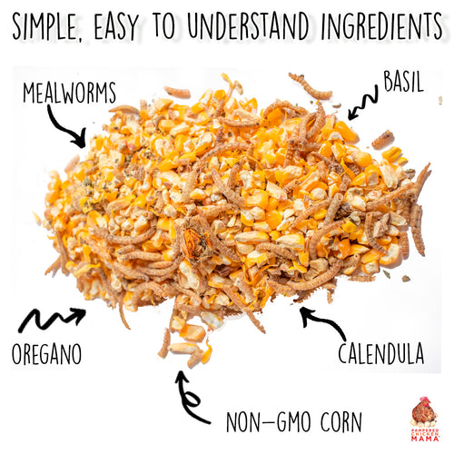 Poultry Queen Mealworm, Non-GMO Corn, Non-GMO Flax, & Herb Treat For Pet Chickens