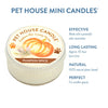 Pumpkin Spice Mini Candle