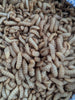 Live Organic Black Soldier Fly Larvae