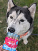 Freeze Dried Salmon - Salmon Pops
