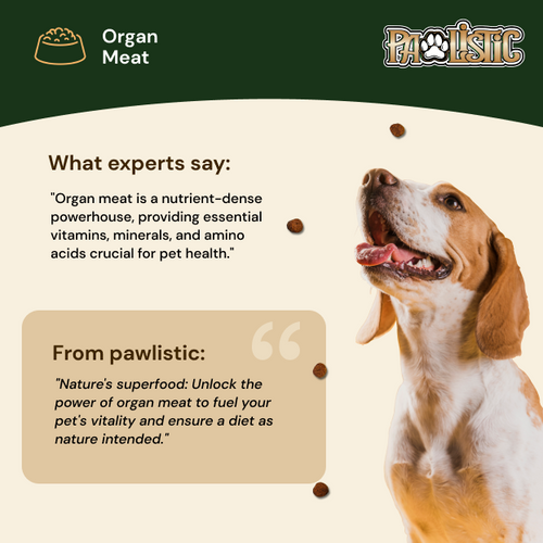 Pawlistic Beef Lung Treats for Dogs & Cats - 4oz - Single Ingredient, All-Natural, High Protein, Made in USA, Supports Dental Health
