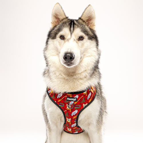 Pawgwarts Everyday Adjustable No-Pull Dog Harness
