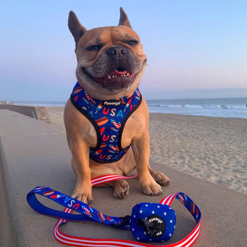 Red, White & Bark Reversible Harness