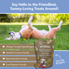 All-Natural Peanut Butter Dog Treats - Homemade-All Natural Dog Treats for Digestive Help - Gluten Free Healthy Human Grade Dog Biscuits for Sensitive Stomachs- USA Made