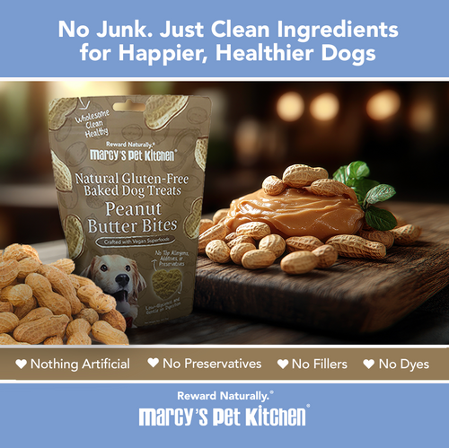 All-Natural Peanut Butter Dog Treats - Homemade-All Natural Dog Treats for Digestive Help - Gluten Free Healthy Human Grade Dog Biscuits for Sensitive Stomachs- USA Made