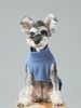Pet Sweater Vest - Ice Blue