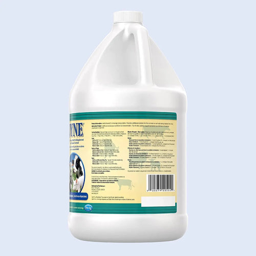 Pet-Ag Dyne High Nutritional Supplement for Livestock Gallon