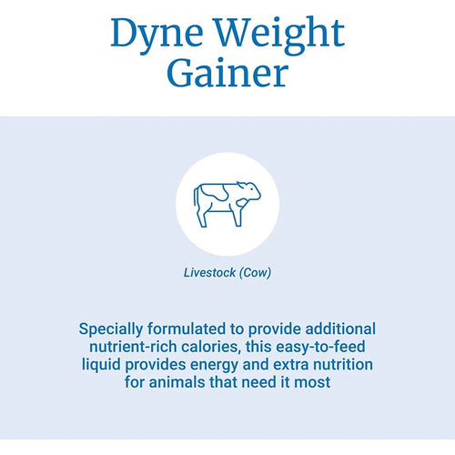 Pet-Ag Dyne High Nutritional Supplement for Livestock Gallon