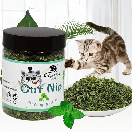 Pet Store Organic Catnip Mint Toy: Eco-Friendly Feline Fun