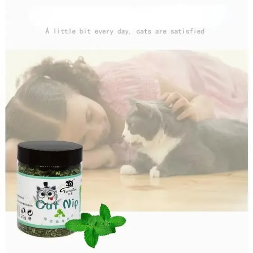 Pet Store Organic Catnip Mint Toy: Eco-Friendly Feline Fun
