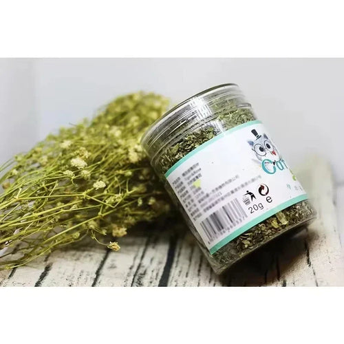 Pet Store Organic Catnip Mint Toy: Eco-Friendly Feline Fun